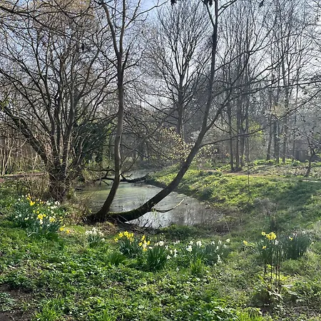 Trailside In Headingley *